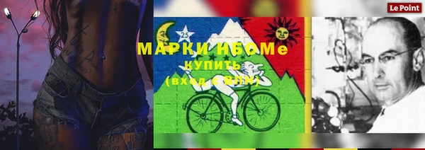 шишки Армянск