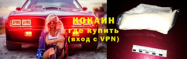 шишки Армянск