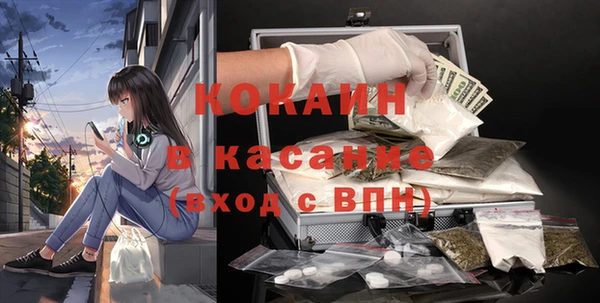 шишки Армянск