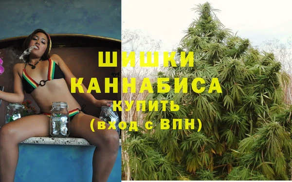 крисы Осинники