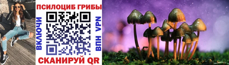 OMG ТОР  Артёмовский  Псилоцибиновые грибы прущие грибы  закладка 